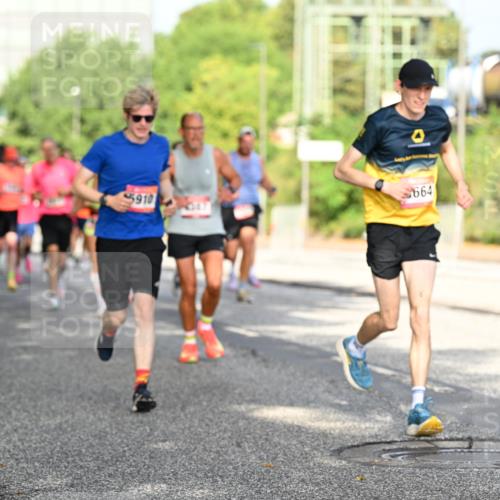 06.09.2026 - CURREX Alsterlauf Dr. Thomas Lammeyer http://msf.ph/oto/10127987 06.09.2026 09:48:09 Laufen 5910, 664, 3 meine-sportfotos.de