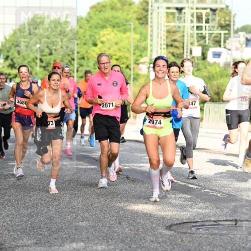 06.09.2026 - CURREX Alsterlauf Dr. Thomas Lammeyer http://msf.ph/oto/10128015 06.09.2026 09:48:12 Laufen 5829, 43, 3686, 73, 2071, 2974, 347, 4696, 2358 meine-sportfotos.de