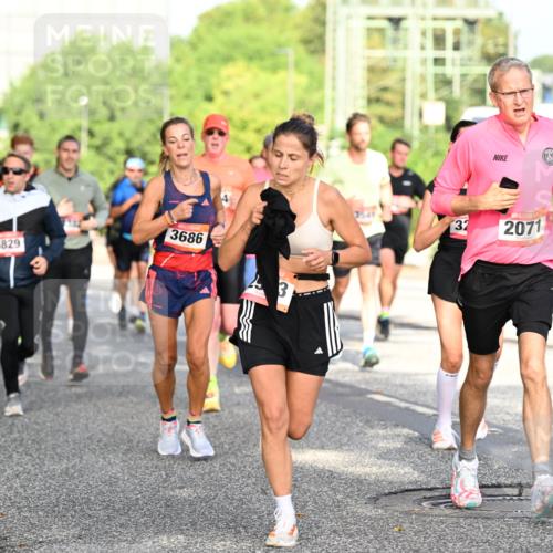 06.09.2026 - CURREX Alsterlauf Dr. Thomas Lammeyer http://msf.ph/oto/10128034 06.09.2026 09:48:13 Laufen 3686, 5829, 3, 3545, 37, 2071, 2 meine-sportfotos.de
