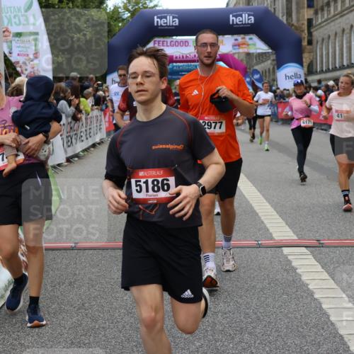 06.09.2026 - CURREX Alsterlauf Strokosch-Dieckow http://msf.ph/oto/10128036 06.09.2026 10:01:48 Ziel 2040, 2229, 2385, 2977, 3115, 3150, 3322, 3448, 3563, 4067, 4117, 4162, 4608, 4618, 5106, 5186, 5380, 5388, 5429, 5542, 5679, 5734, 6171, 6341, 8038, 8122 meine-sportfotos.de