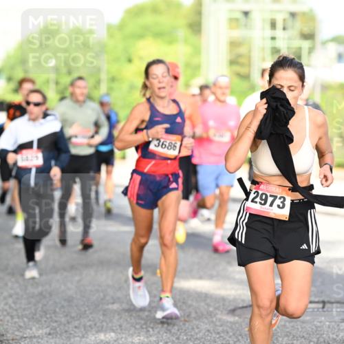 06.09.2026 - CURREX Alsterlauf Dr. Thomas Lammeyer http://msf.ph/oto/10128040 06.09.2026 09:48:14 Laufen 3686, 2973, 3237 meine-sportfotos.de
