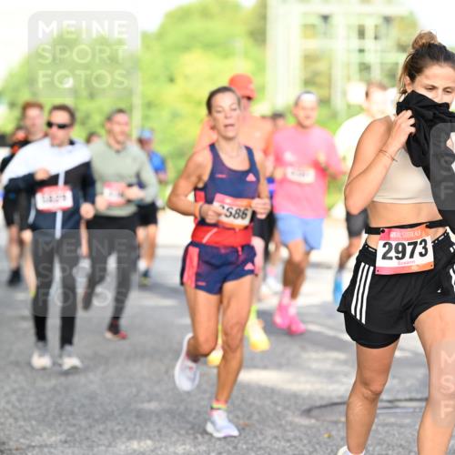 06.09.2026 - CURREX Alsterlauf Dr. Thomas Lammeyer http://msf.ph/oto/10128041 06.09.2026 09:48:14 Laufen 586, 2973, 3237 meine-sportfotos.de