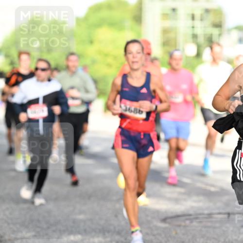 06.09.2026 - CURREX Alsterlauf Dr. Thomas Lammeyer http://msf.ph/oto/10128044 06.09.2026 09:48:14 Laufen 3686, 73 meine-sportfotos.de
