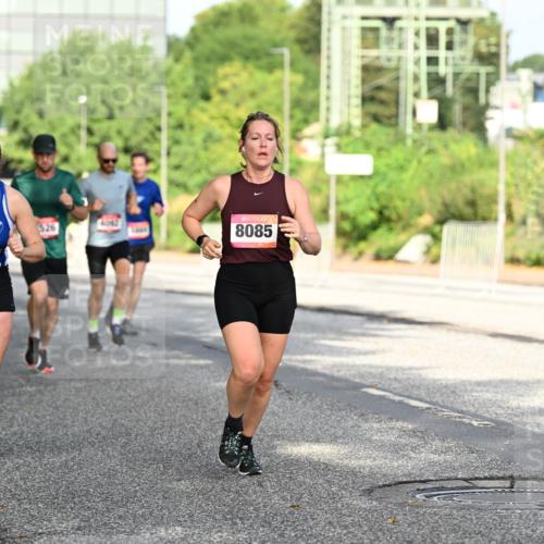 06.09.2026 - CURREX Alsterlauf Dr. Thomas Lammeyer http://msf.ph/oto/10128103 06.09.2026 09:48:21 Laufen 6411, 526, 8085 meine-sportfotos.de