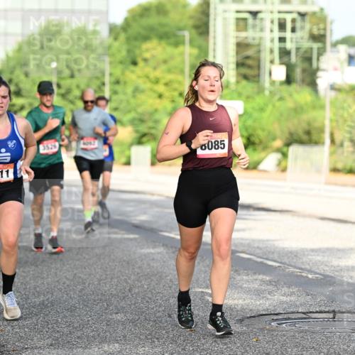 06.09.2026 - CURREX Alsterlauf Dr. Thomas Lammeyer http://msf.ph/oto/10128108 06.09.2026 09:48:21 Laufen 6411, 352, 8085 meine-sportfotos.de