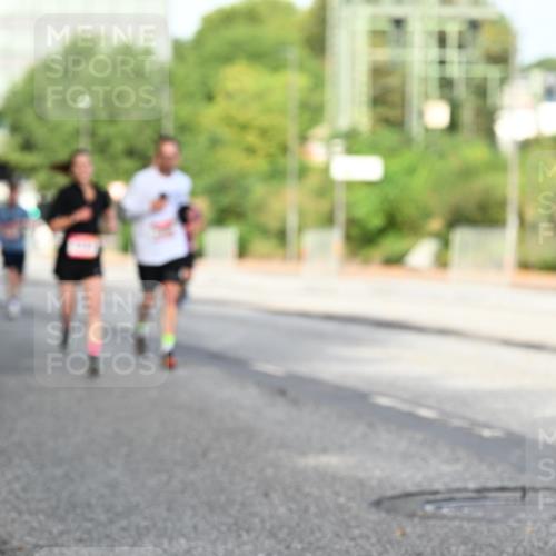 06.09.2026 - CURREX Alsterlauf Dr. Thomas Lammeyer http://msf.ph/oto/10128269 06.09.2026 09:48:47 Laufen  meine-sportfotos.de