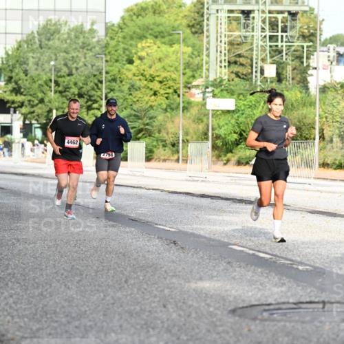 06.09.2026 - CURREX Alsterlauf Dr. Thomas Lammeyer http://msf.ph/oto/10128487 06.09.2026 09:49:12 Laufen 529, 4462, 4005, 2758 meine-sportfotos.de