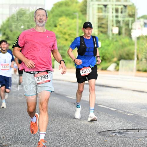 06.09.2026 - CURREX Alsterlauf Dr. Thomas Lammeyer http://msf.ph/oto/10128594 06.09.2026 09:49:23 Laufen 2799, 2511, 13, 5928 meine-sportfotos.de