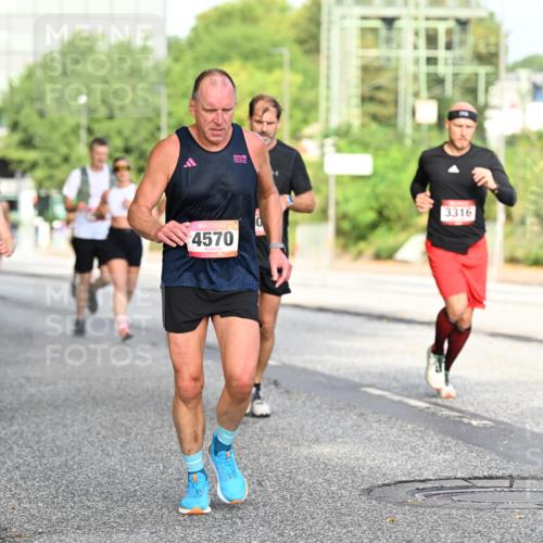 06.09.2026 - CURREX Alsterlauf Dr. Thomas Lammeyer http://msf.ph/oto/10128621 06.09.2026 09:49:28 Laufen 4226, 4570, 3316, 305 meine-sportfotos.de