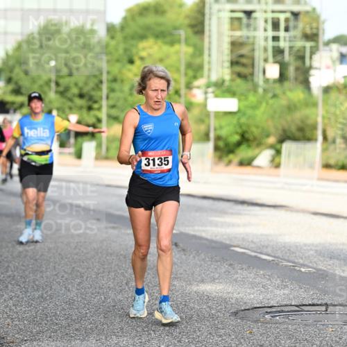 06.09.2026 - CURREX Alsterlauf Dr. Thomas Lammeyer http://msf.ph/oto/10128670 06.09.2026 09:49:34 Laufen 3135, 2495 meine-sportfotos.de
