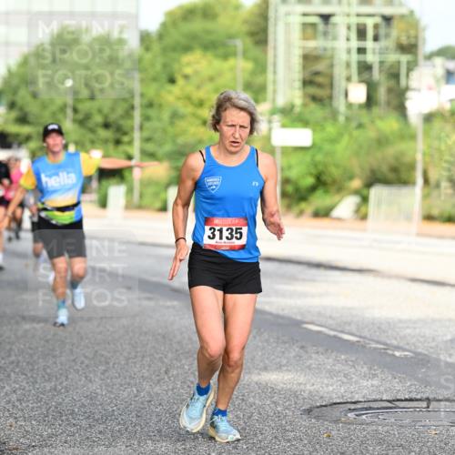 06.09.2026 - CURREX Alsterlauf Dr. Thomas Lammeyer http://msf.ph/oto/10128674 06.09.2026 09:49:34 Laufen 3135, 2495 meine-sportfotos.de