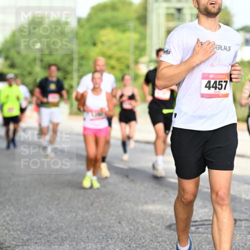 06.09.2026 - CURREX Alsterlauf Dr. Thomas Lammeyer http://msf.ph/oto/10128836 06.09.2026 09:49:52 Laufen 4457 meine-sportfotos.de
