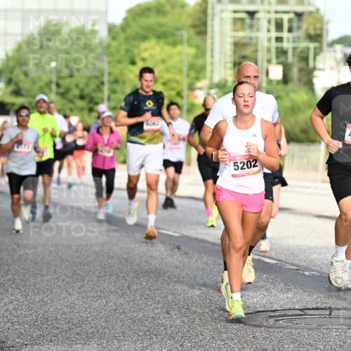 06.09.2026 - CURREX Alsterlauf Dr. Thomas Lammeyer http://msf.ph/oto/10128851 06.09.2026 09:49:53 Laufen 4575, 5202, 4781 meine-sportfotos.de