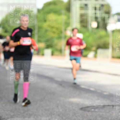 06.09.2026 - CURREX Alsterlauf Dr. Thomas Lammeyer http://msf.ph/oto/10129003 06.09.2026 09:50:08 Laufen  meine-sportfotos.de