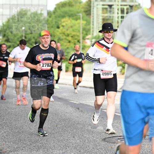 06.09.2026 - CURREX Alsterlauf Dr. Thomas Lammeyer http://msf.ph/oto/10129106 06.09.2026 09:50:20 Laufen 51, 2782, 4980, 4749 meine-sportfotos.de