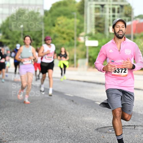 06.09.2026 - CURREX Alsterlauf Dr. Thomas Lammeyer http://msf.ph/oto/10129233 06.09.2026 09:50:32 Laufen 590, 724, 5372 meine-sportfotos.de