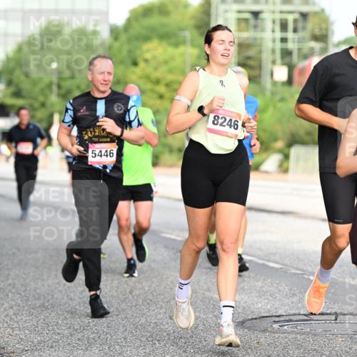 06.09.2026 - CURREX Alsterlauf Dr. Thomas Lammeyer http://msf.ph/oto/10129312 06.09.2026 09:50:40 Laufen 5446, 8246, 8299 meine-sportfotos.de