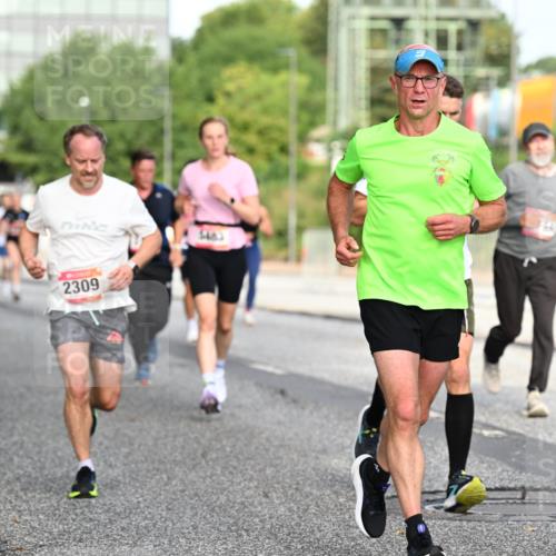 06.09.2026 - CURREX Alsterlauf Dr. Thomas Lammeyer http://msf.ph/oto/10129330 06.09.2026 09:50:42 Laufen 2309, 144 meine-sportfotos.de