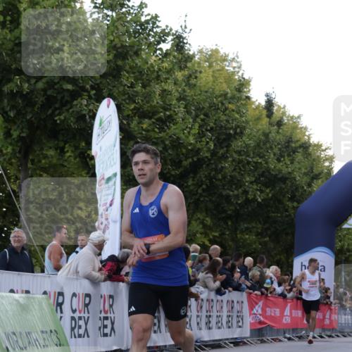 06.09.2026 - CURREX Alsterlauf Yannick Fuchs http://msf.ph/oto/10129391 06.09.2026 09:37:49 Ziel 4201, 5024, 5441, 5671 meine-sportfotos.de