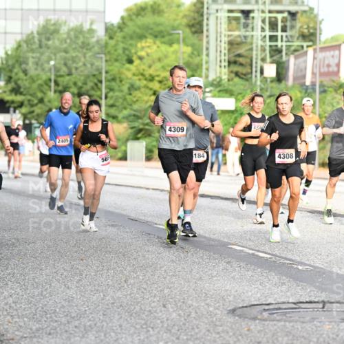 06.09.2026 - CURREX Alsterlauf Dr. Thomas Lammeyer http://msf.ph/oto/10129505 06.09.2026 09:51:02 Laufen 6016, 2405, 56, 4309, 184, 4308, 6331, 6329 meine-sportfotos.de