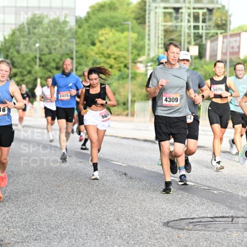 06.09.2026 - CURREX Alsterlauf Dr. Thomas Lammeyer http://msf.ph/oto/10129516 06.09.2026 09:51:03 Laufen 10, 339, 6016, 2405, 5654, 4309, 84, 5696, 59, 4308, 63 meine-sportfotos.de