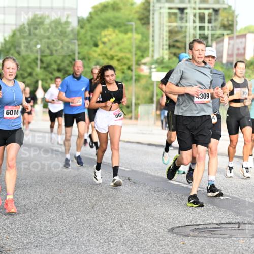 06.09.2026 - CURREX Alsterlauf Dr. Thomas Lammeyer http://msf.ph/oto/10129518 06.09.2026 09:51:03 Laufen 339, 10, 6016, 56, 309, 96, 5900, 4308 meine-sportfotos.de