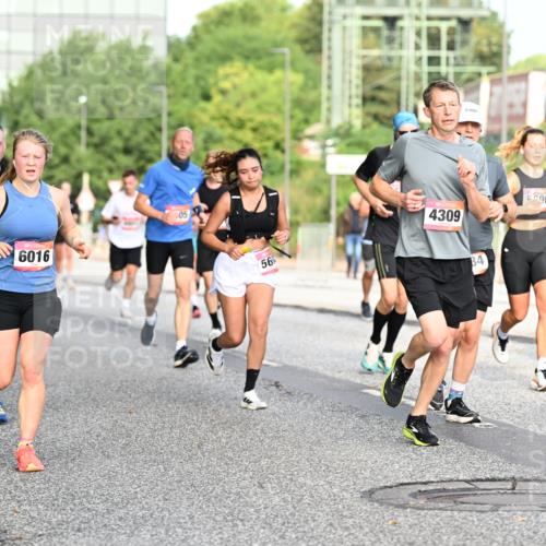 06.09.2026 - CURREX Alsterlauf Dr. Thomas Lammeyer http://msf.ph/oto/10129519 06.09.2026 09:51:03 Laufen 39, 6016, 05, 56, 4309, 96, 4, 5900, 4308 meine-sportfotos.de