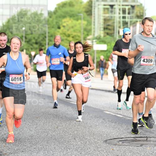 06.09.2026 - CURREX Alsterlauf Dr. Thomas Lammeyer http://msf.ph/oto/10129524 06.09.2026 09:51:04 Laufen 10, 6016, 2405, 56, 563, 4309, 696, 5900 meine-sportfotos.de