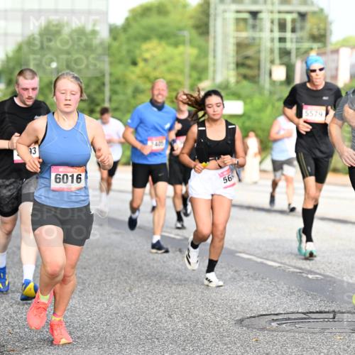 06.09.2026 - CURREX Alsterlauf Dr. Thomas Lammeyer http://msf.ph/oto/10129527 06.09.2026 09:51:04 Laufen 93, 6016, 24, 05, 56, 5579, 4309 meine-sportfotos.de