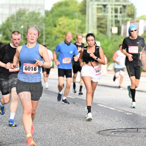 06.09.2026 - CURREX Alsterlauf Dr. Thomas Lammeyer http://msf.ph/oto/10129529 06.09.2026 09:51:04 Laufen 3, 6016, 2405, 56, 5579, 4309, 2 meine-sportfotos.de