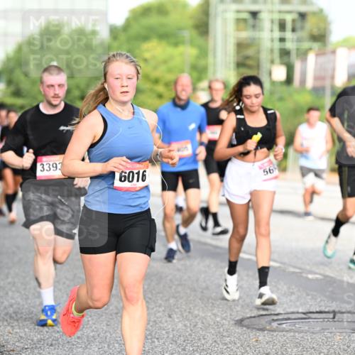 06.09.2026 - CURREX Alsterlauf Dr. Thomas Lammeyer http://msf.ph/oto/10129531 06.09.2026 09:51:05 Laufen 3393, 6016, 56, 5579 meine-sportfotos.de