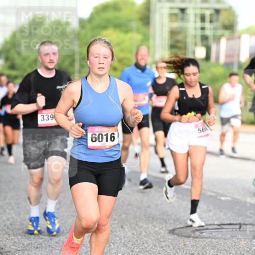 06.09.2026 - CURREX Alsterlauf Dr. Thomas Lammeyer http://msf.ph/oto/10129532 06.09.2026 09:51:05 Laufen 339, 6016, 56 meine-sportfotos.de