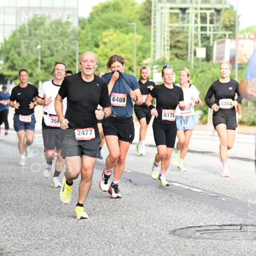 06.09.2026 - CURREX Alsterlauf Dr. Thomas Lammeyer http://msf.ph/oto/10129576 06.09.2026 09:51:11 Laufen 4316, 359, 2477, 6469, 5354, 853, 6175, 3391 meine-sportfotos.de
