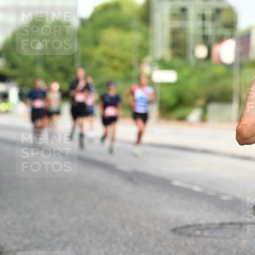 06.09.2026 - CURREX Alsterlauf Dr. Thomas Lammeyer http://msf.ph/oto/10129687 06.09.2026 09:51:23 Laufen 4661 meine-sportfotos.de