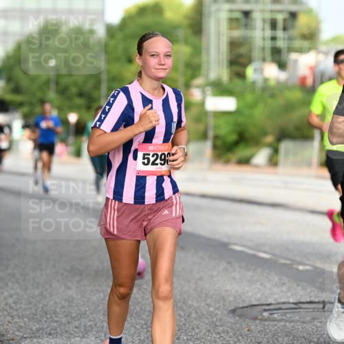 06.09.2026 - CURREX Alsterlauf Dr. Thomas Lammeyer http://msf.ph/oto/10129779 06.09.2026 09:51:33 Laufen 529, 2348 meine-sportfotos.de