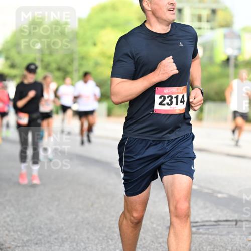 06.09.2026 - CURREX Alsterlauf Dr. Thomas Lammeyer http://msf.ph/oto/10129863 06.09.2026 09:51:44 Laufen 2314, 11 meine-sportfotos.de