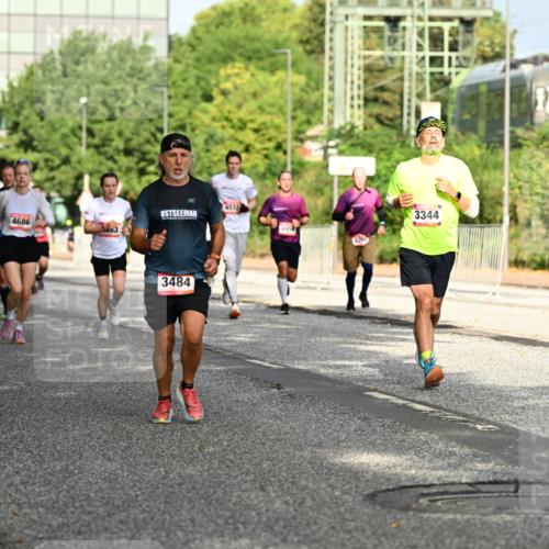 06.09.2026 - CURREX Alsterlauf Dr. Thomas Lammeyer http://msf.ph/oto/10129999 06.09.2026 09:52:02 Laufen 4686, 4512, 3484, 495, 42, 3344 meine-sportfotos.de