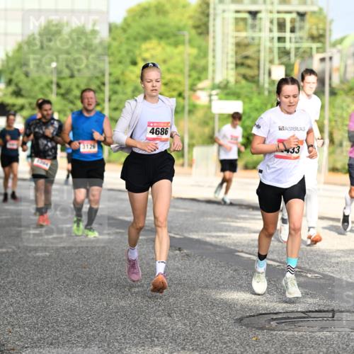 06.09.2026 - CURREX Alsterlauf Dr. Thomas Lammeyer http://msf.ph/oto/10130023 06.09.2026 09:52:05 Laufen 3126, 4686, 33, 4956 meine-sportfotos.de