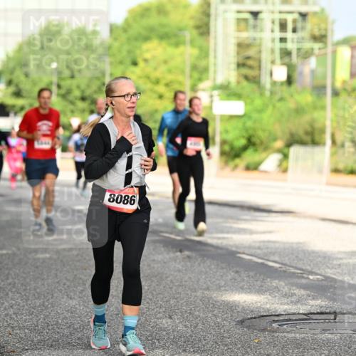 06.09.2026 - CURREX Alsterlauf Dr. Thomas Lammeyer http://msf.ph/oto/10130127 06.09.2026 09:52:19 Laufen 8086 meine-sportfotos.de
