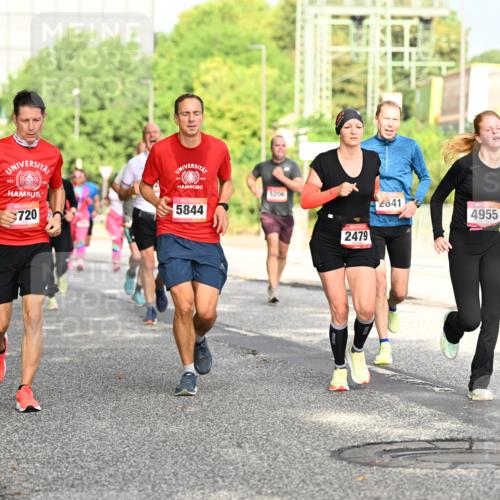 06.09.2026 - CURREX Alsterlauf Dr. Thomas Lammeyer http://msf.ph/oto/10130150 06.09.2026 09:52:21 Laufen 5488, 720, 5844, 5206, 2479, 0, 2641, 4955 meine-sportfotos.de
