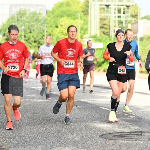 06.09.2026 - CURREX Alsterlauf Dr. Thomas Lammeyer http://msf.ph/oto/10130155 06.09.2026 09:52:21 Laufen 5488, 1919, 5720, 3929, 5844, 5206, 2479, 2641, 4955 meine-sportfotos.de