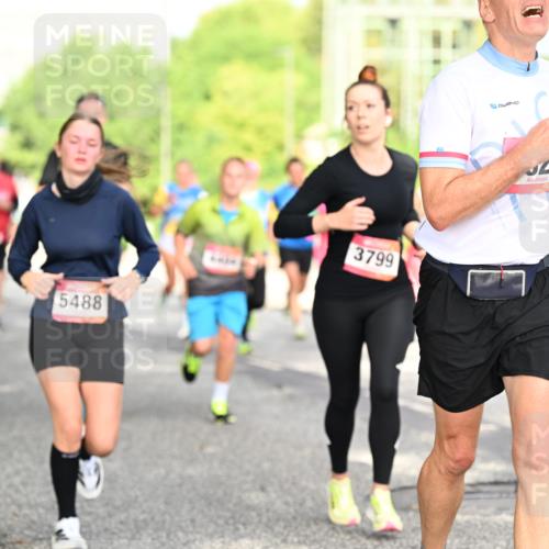 06.09.2026 - CURREX Alsterlauf Dr. Thomas Lammeyer http://msf.ph/oto/10130206 06.09.2026 09:52:26 Laufen 11, 11, 5488, 3799, 29 meine-sportfotos.de