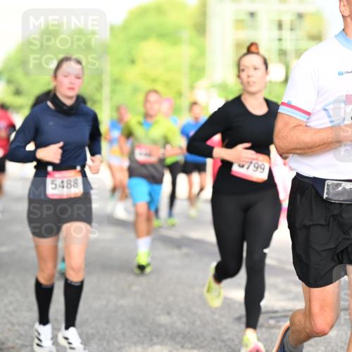 06.09.2026 - CURREX Alsterlauf Dr. Thomas Lammeyer http://msf.ph/oto/10130207 06.09.2026 09:52:26 Laufen 11, 5488, 799, 3929 meine-sportfotos.de