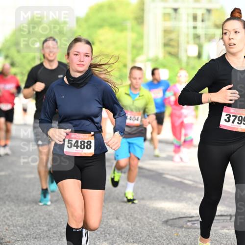06.09.2026 - CURREX Alsterlauf Dr. Thomas Lammeyer http://msf.ph/oto/10130212 06.09.2026 09:52:27 Laufen 11, 5488, 404, 3799 meine-sportfotos.de
