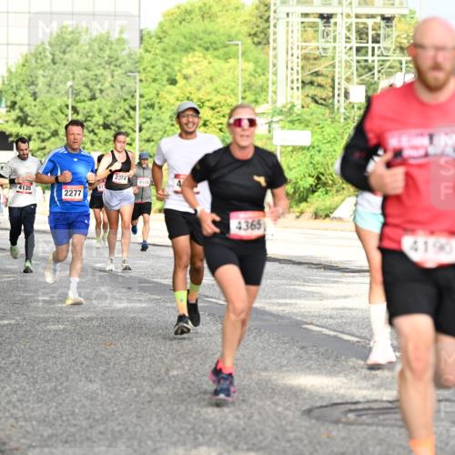 06.09.2026 - CURREX Alsterlauf Dr. Thomas Lammeyer http://msf.ph/oto/10130265 06.09.2026 09:52:32 Laufen 2372, 4949, 8211, 4135, 2277, 3225, 4365, 4190, 3550 meine-sportfotos.de