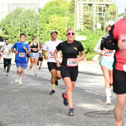 06.09.2026 - CURREX Alsterlauf Dr. Thomas Lammeyer http://msf.ph/oto/10130267 06.09.2026 09:52:32 Laufen 8211, 3225, 4135, 2277, 4949, 42, 4365, 3411, 4190, 550 meine-sportfotos.de