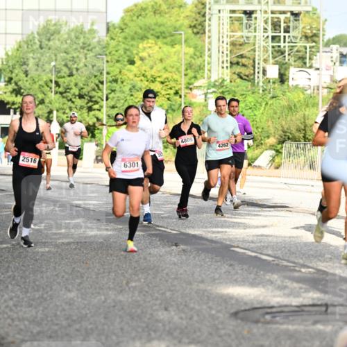 06.09.2026 - CURREX Alsterlauf Dr. Thomas Lammeyer http://msf.ph/oto/10130380 06.09.2026 09:52:43 Laufen 4111, 2516, 6301, 4809, 4262, 631 meine-sportfotos.de