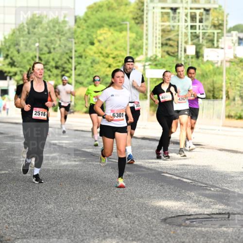 06.09.2026 - CURREX Alsterlauf Dr. Thomas Lammeyer http://msf.ph/oto/10130388 06.09.2026 09:52:44 Laufen 4809, 383, 2516, 6301, 4262 meine-sportfotos.de