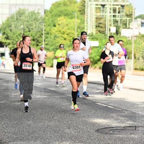 06.09.2026 - CURREX Alsterlauf Dr. Thomas Lammeyer http://msf.ph/oto/10130393 06.09.2026 09:52:44 Laufen 2516, 6301 meine-sportfotos.de