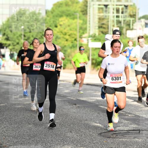 06.09.2026 - CURREX Alsterlauf Dr. Thomas Lammeyer http://msf.ph/oto/10130403 06.09.2026 09:52:45 Laufen 3636, 2516, 6301 meine-sportfotos.de
